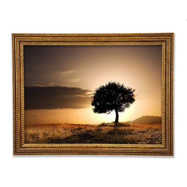 Ebern Designs Sonnenuntergang Hinter Dem Baum Gerahmter Druck Wayfair De